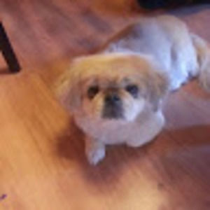 Meet your Posher, Ronald